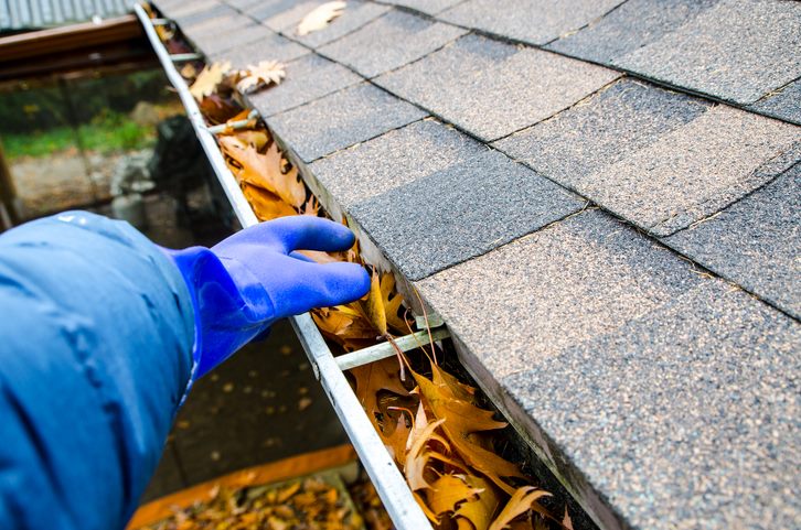 Roof Cleaning Services Chino thumbnail
